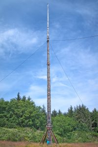 world largest totem pole in the world, Alert Bay