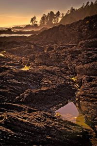 Botanical Beach Provincial Park