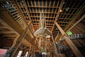 Whale Interpretive Centre 