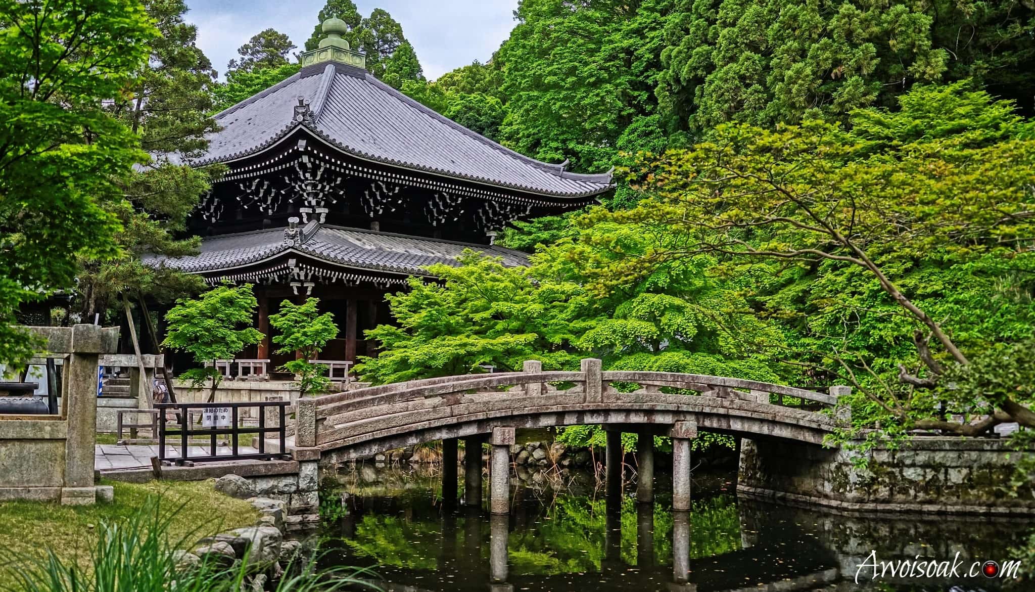 birkenstock new york times