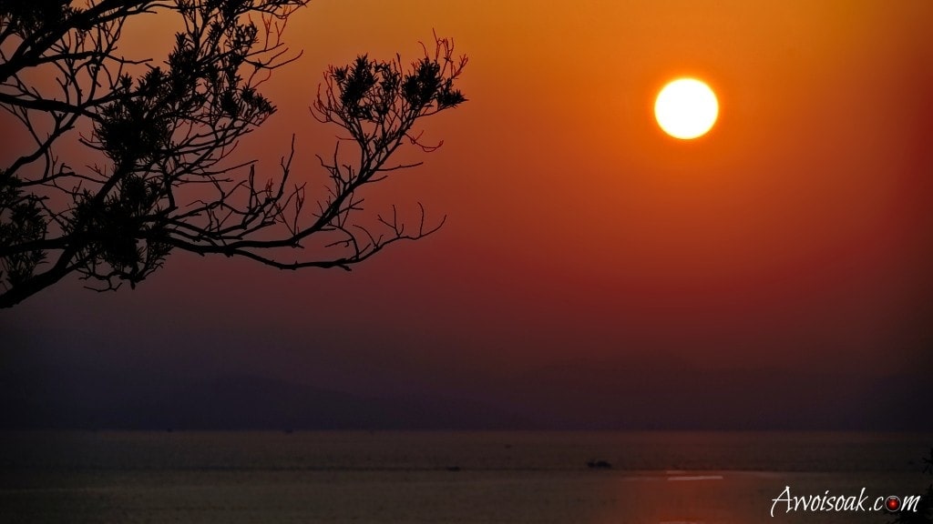 Matsu | AwOiSoAk | Travel Blog | Never Stop Travelling