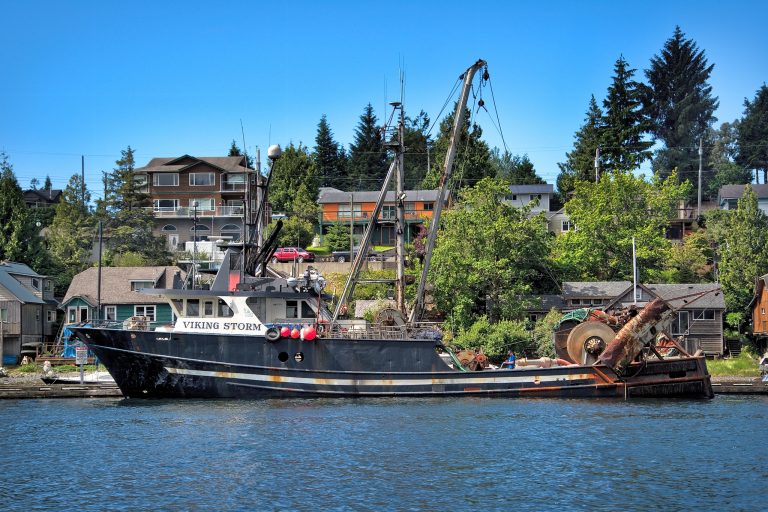 What to do in a road trip in Vancouver Island AwOiSoAk