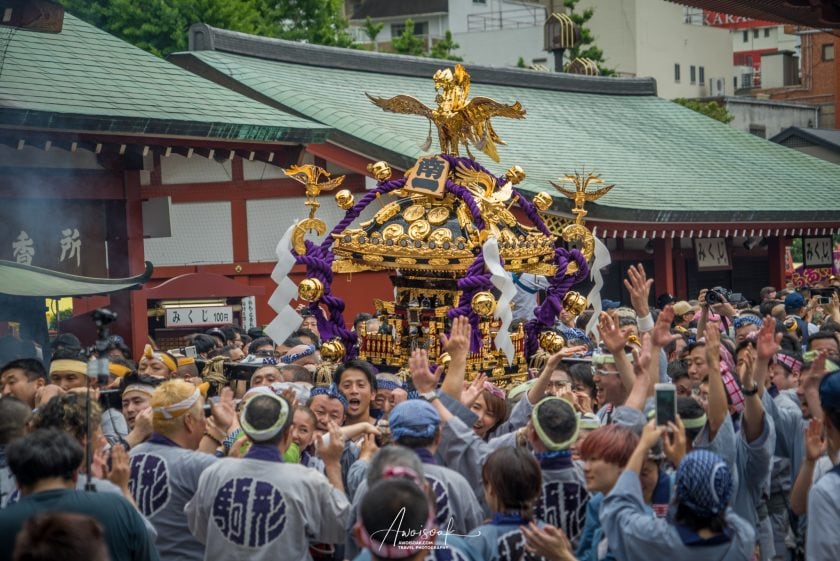 Sanja Matsuri – AwOiSoAk