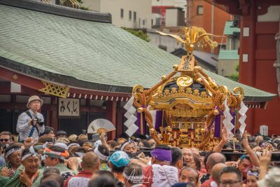 Sanja Matsuri – AwOiSoAk