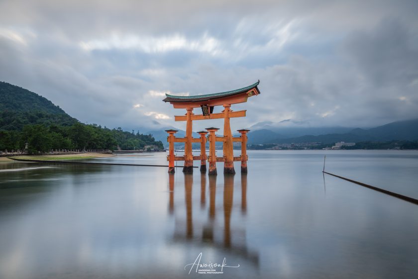 Hiroshima & Miyajima | Never Stop Travelling | AwOiSoAk