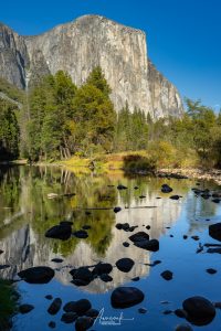 Yosemite National Park