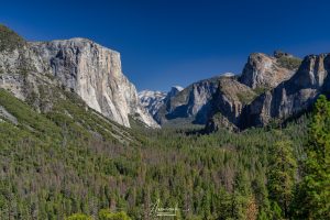 Yosemite National Park