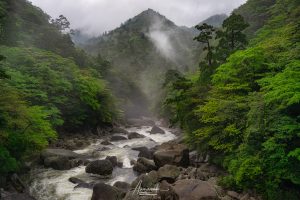 Yakushima