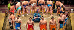 Grand sumo Tournament