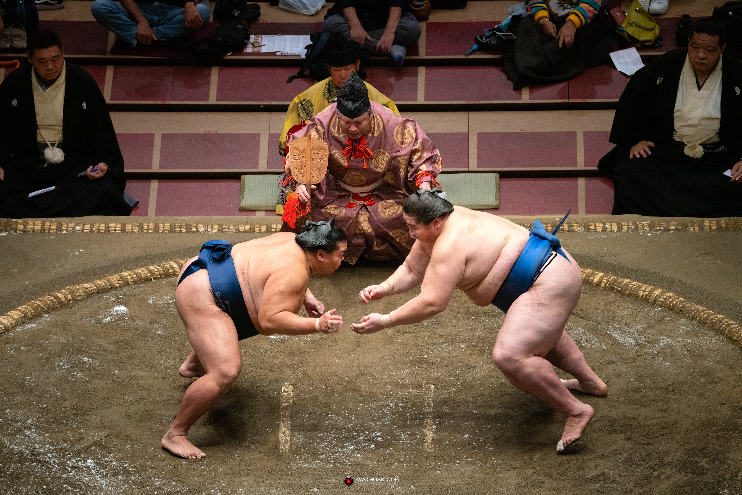 sumo fight