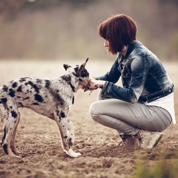 Best Friend